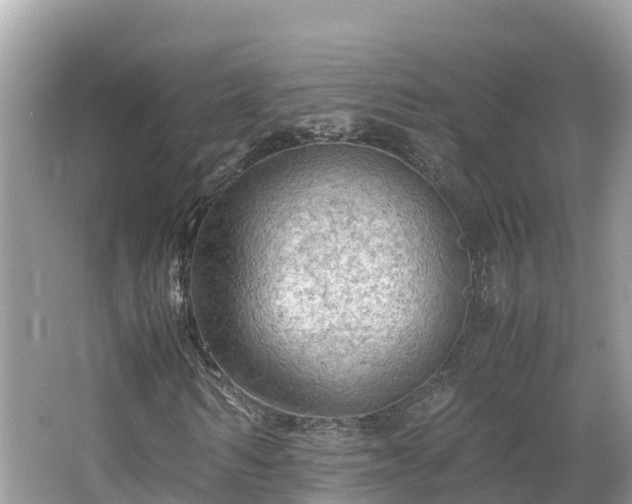 X0000065240962200602211208