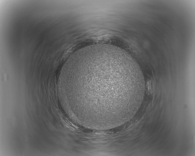 X0000065240963200602211208