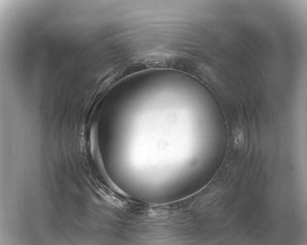 X0000065240964200602211208