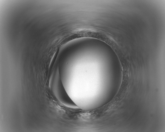 X0000065240965200602211208