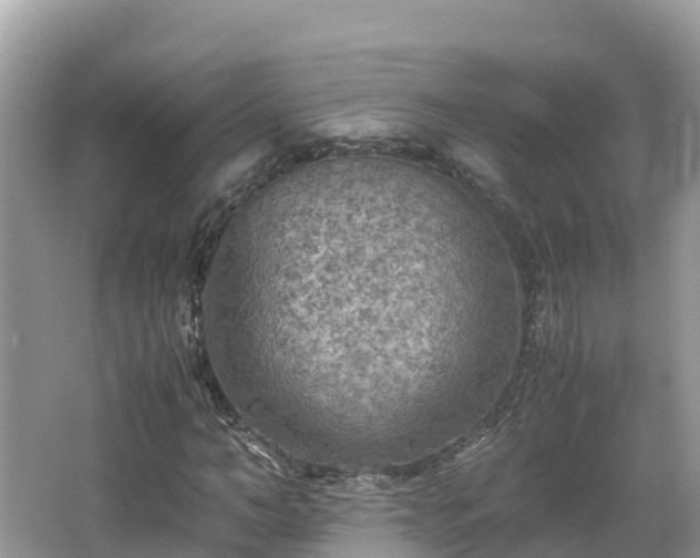 X0000065240966200602211208