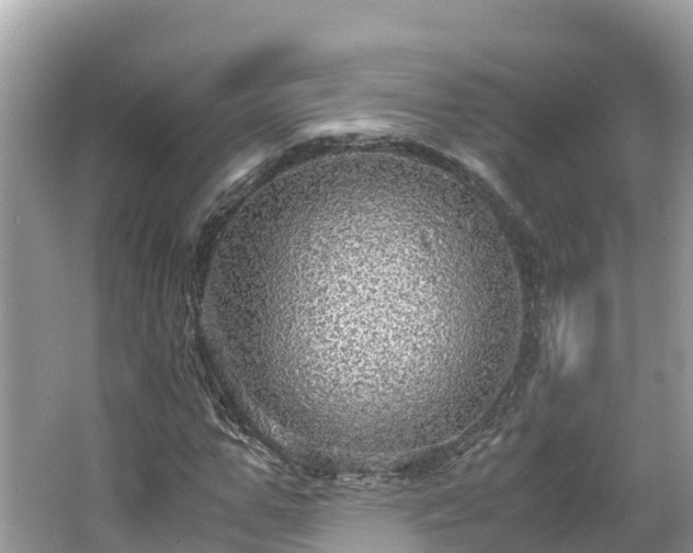 X0000065240967200602211208