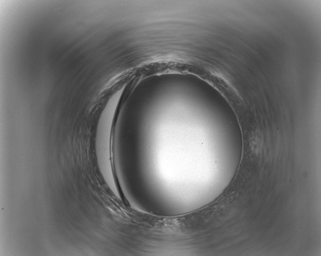 X0000065240968200602211208