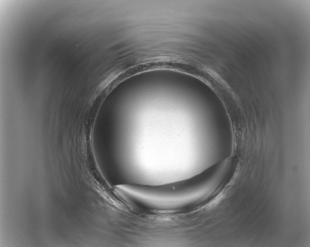 X0000065240969200602211208