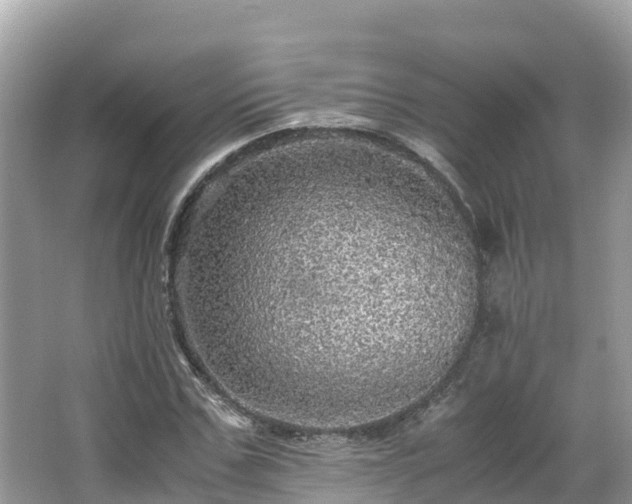 X0000065240971200602211208