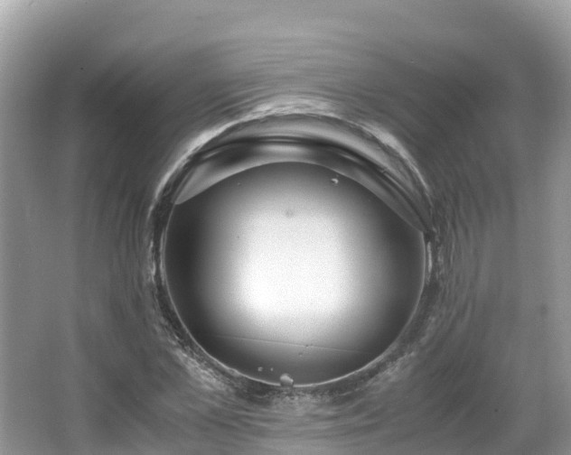 X0000065240973200602211208