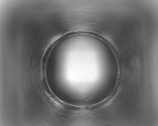 X0000065240974200602211208