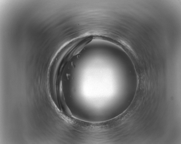 X0000065240976200602211208