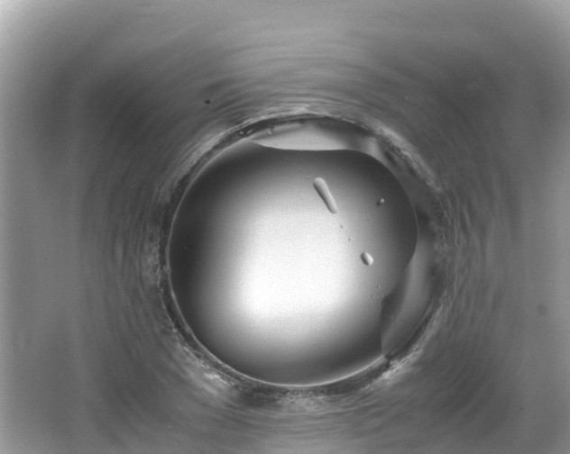 X0000065240977200602211208