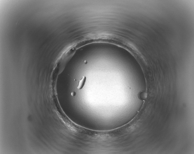 X0000065240978200602211208