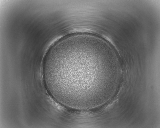 X0000065240979200602211208