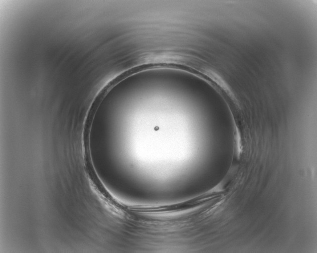 X0000065240980200602211208