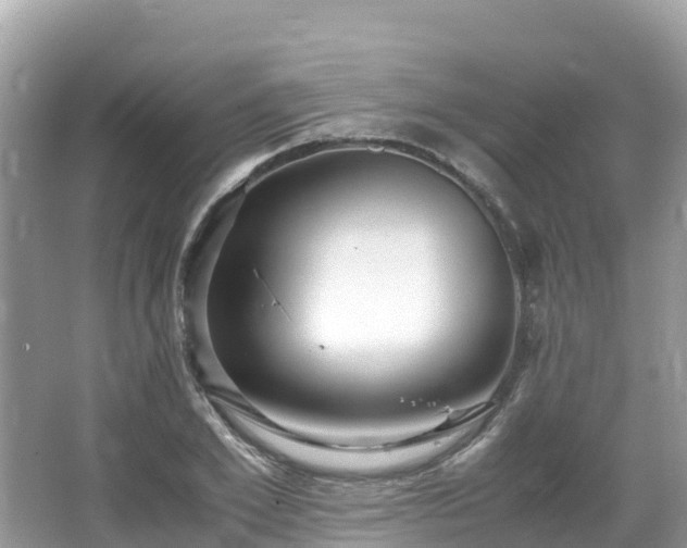 X0000065240981200602211208