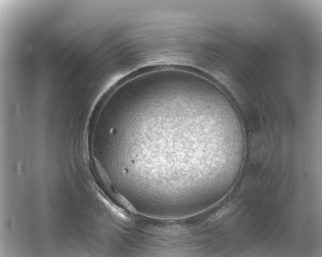 X0000065240982200602211208