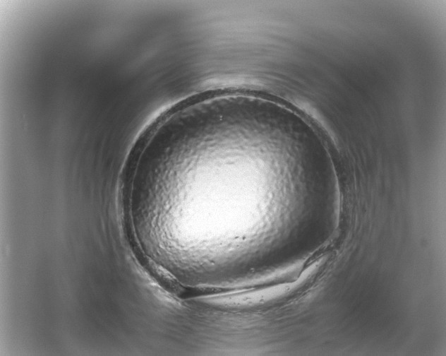 X0000065240983200602211208