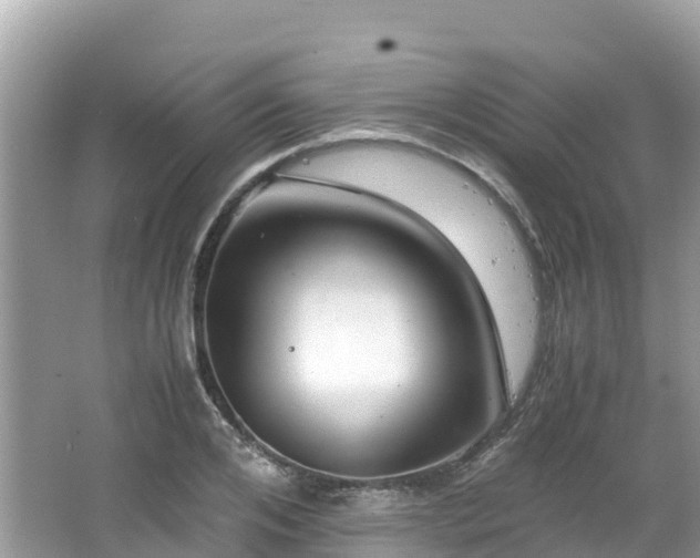 X0000065240984200602211208