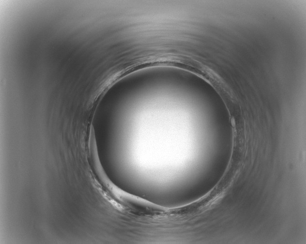 X0000065240985200602211208