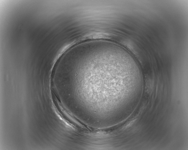 X0000065240986200602211208