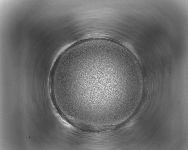 X0000065240987200602211208