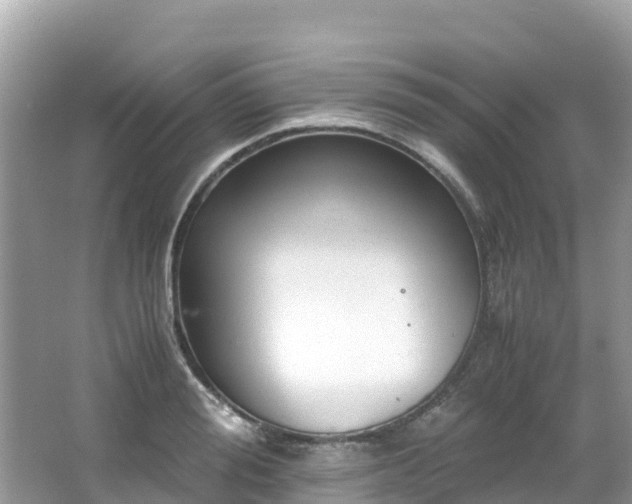 X0000065240988200602211208