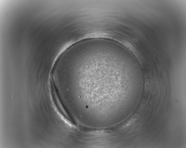 X0000065240990200602211208