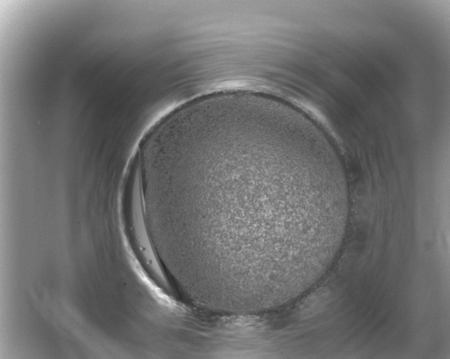 X0000065240991200602211208