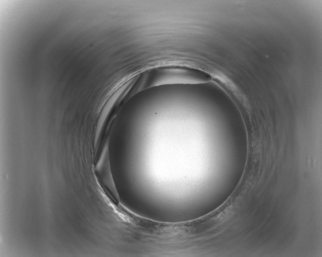 X0000065240993200602211208