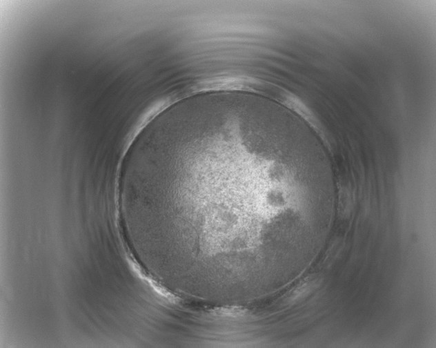 X0000065240994200602211208