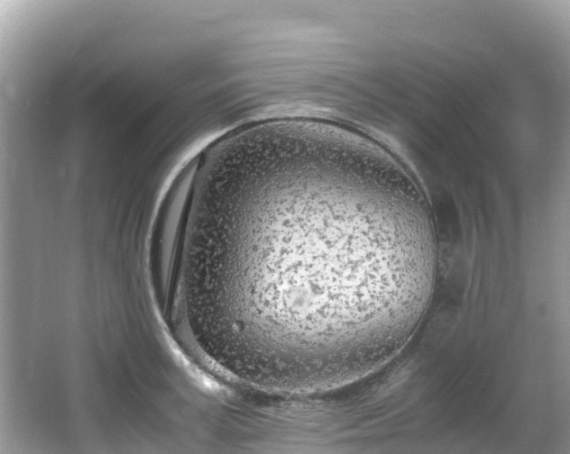 X0000065240995200602211208