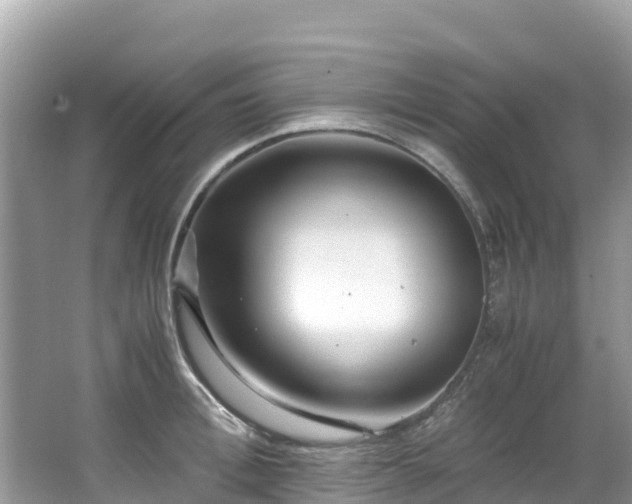 X0000065240996200602211208