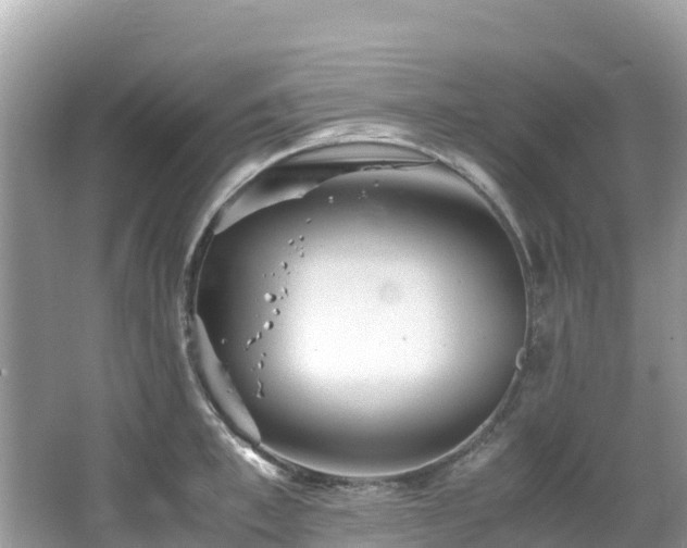 X0000065240997200602211208