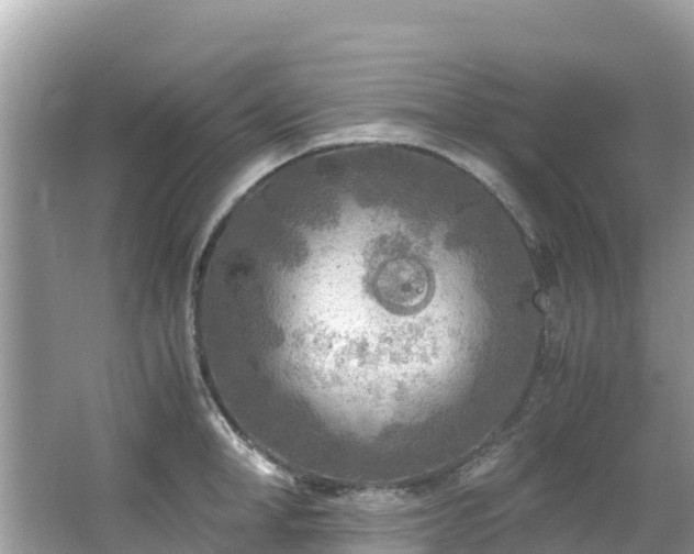 X0000065240998200602211208