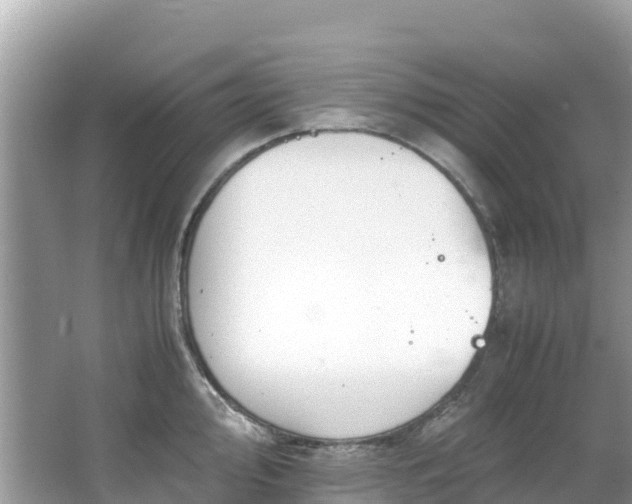 X0000065241000200602211208