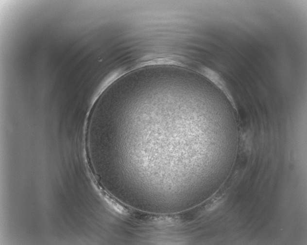 X0000065241002200602211208