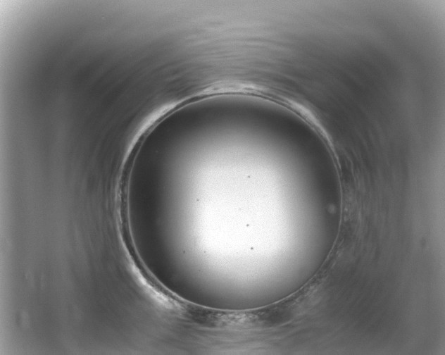 X0000065241003200602211208