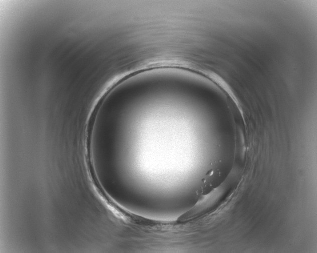 X0000065241005200602211207