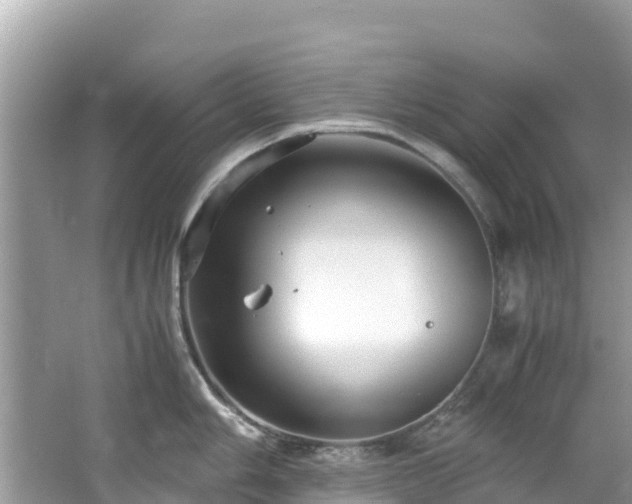 X0000065241006200602211207