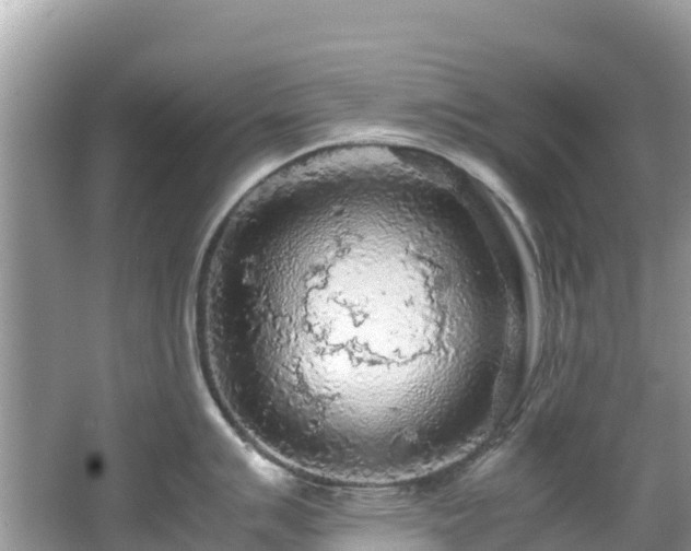 X0000065241007200602211207