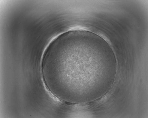 X0000065241008200602211207