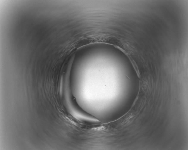 X0000065241010200602211207