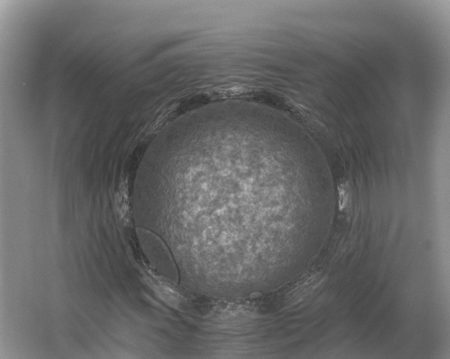 X0000065241011200602211207