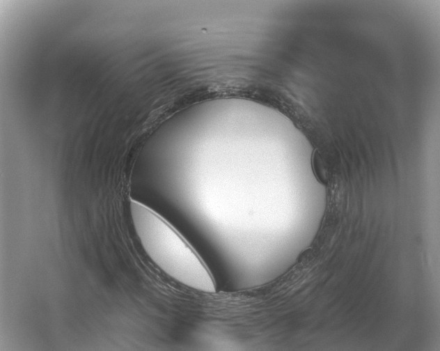 X0000065241012200602211207