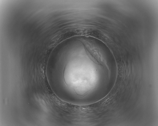 X0000065241013200602211207