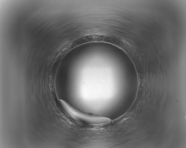 X0000065241014200602211207