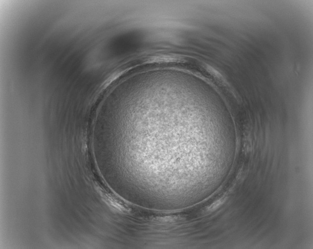 X0000065241017200602211207