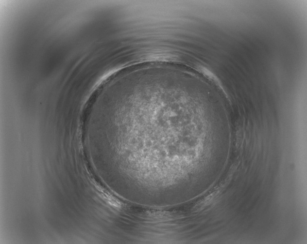 X0000065241019200602211207