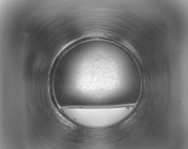 X0000065241020200602211207