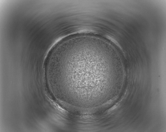 X0000065241021200602211207