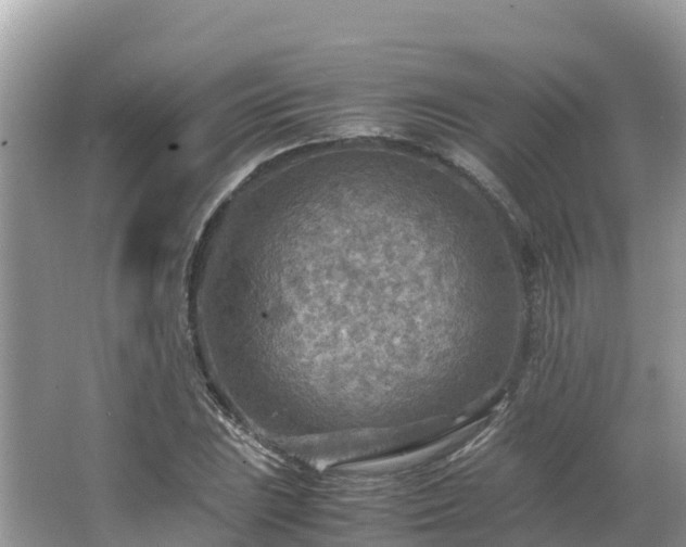 X0000065241023200602211207