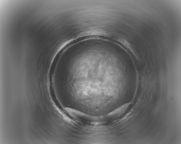 X0000065241024200602211207